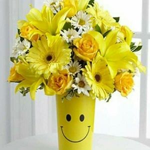 Meet your Posher, Tikkia